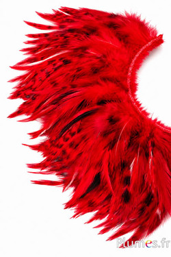 Franje haan chinchilla - lange veren 10-15 cm - rood